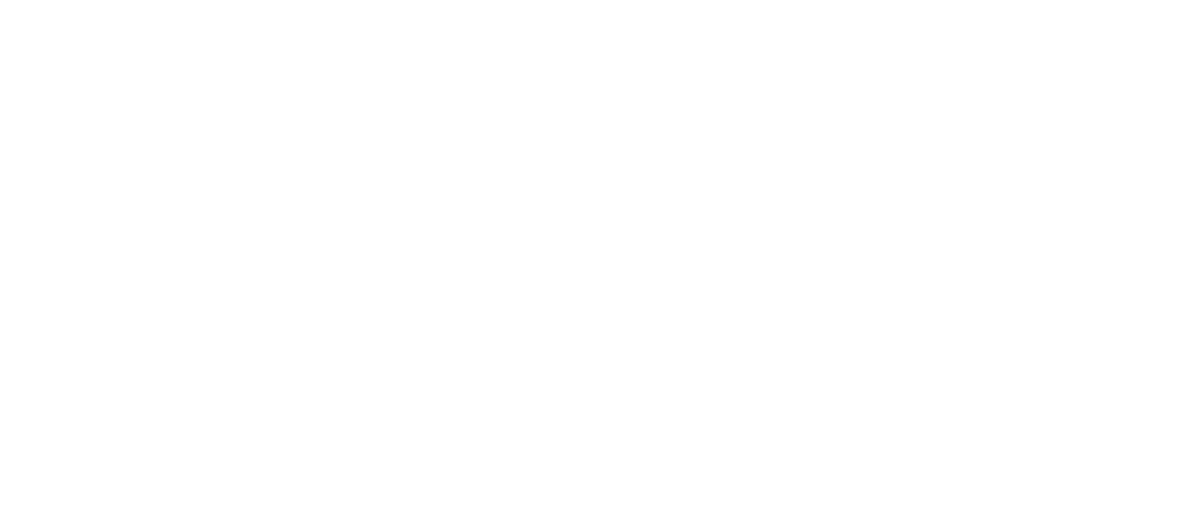 Cerebras
